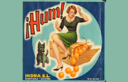 DIE VERPACKTE ORANGE