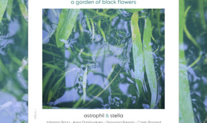 astrophil & stella: »a garden of black flowers«